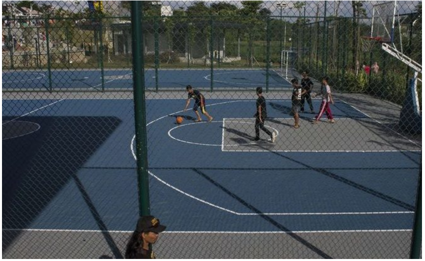 Sport Field Contractror