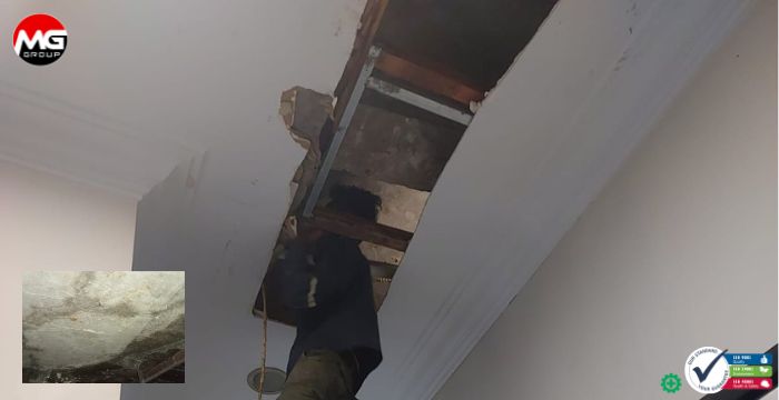 Harga Injeksi Polyurethane