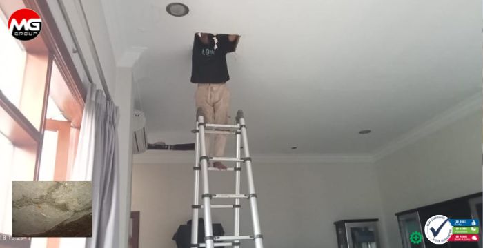 Injeksi Polyurethane Profesional